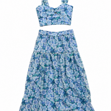 Blue Floral Sleeveless Crop Top and Tiered Maxi Skirt Set